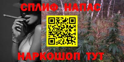 гашик Лесосибирск