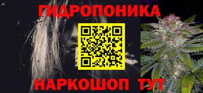 гашик Лесосибирск