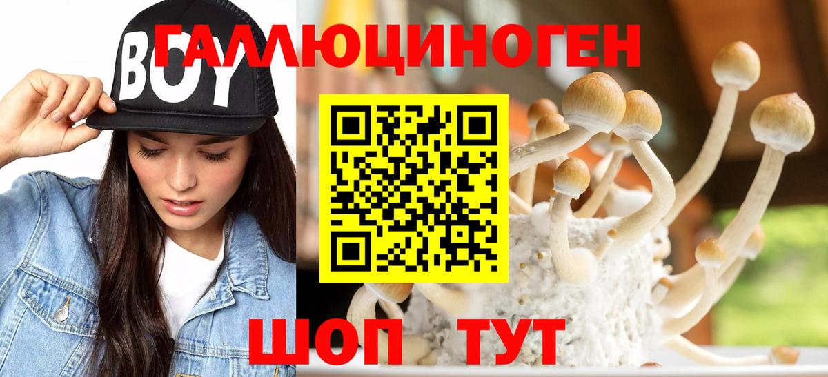 Галлюциногенные грибы прущие грибы Долгопрудный