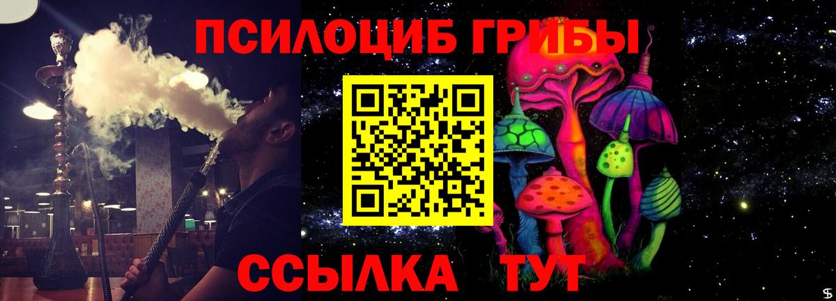 Псилоцибиновые грибы MAGIC MUSHROOMS  Галлюциногенные грибы GOLDEN TEACHER  Вход с VPN  цены наркотик  Долгопрудный 